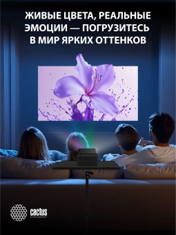 Проектор Cactus CS-H3.SG DLP 16800Lm LS 1050Lm ANSI (1920x1080) 200000:1 ресурс лампы:20000часов 1xUSB typeA 1xHDMI 3.1кг - купить недорого с доставкой в интернет-магазине