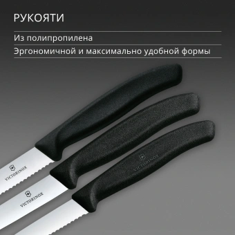 Набор ножей кухон. Victorinox Swiss Classic 6.7113.34 для овощей компл.:3предм. черный европодвес - купить недорого с доставкой в интернет-магазине