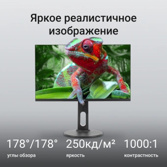Монитор Digma 23.8" Progress 24P505F черный IPS LED 16:9 HDMI M/M матовая HAS Piv 250cd 178гр/178гр 1920x1080 100Hz G-Sync FreeSync VGA DP FHD 4.8кг - купить недорого с доставкой в интернет-магазине