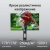 Монитор Digma 23.8" Progress 24P505F черный IPS LED 16:9 HDMI M/M матовая HAS Piv 250cd 178гр/178гр 1920x1080 100Hz G-Sync FreeSync VGA DP FHD 4.8кг - цена, купить или заказать с доставкой в интернет-магазине Монитор Digma 23.8" Progress 24P505F черный IPS LED 16:9 HDMI M/M матовая HAS Piv 250cd 178гр/178гр 1920x1080 100Hz G-Sync FreeSync VGA DP FHD 4.8кг - купить недорого с доставкой в интернет-магазине