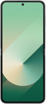 Смартфон Samsung SM-F741B Galaxy Z Flip 6 5G 256Gb 12Gb мятный раскладной 3G 4G 1Sim 6.7" 1080x2640 Android 14 50Mpix 802.11 a/b/g/n/ac/ax NFC GPS GSM900/1800 GSM1900 TouchSc Protect - купить недорого с доставкой в интернет-магазине