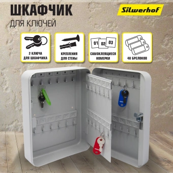 Шкафчик для ключей Silwerhof на 48ключ. 250х180х80мм комппл.48 брелков серый металл - купить недорого с доставкой в интернет-магазине