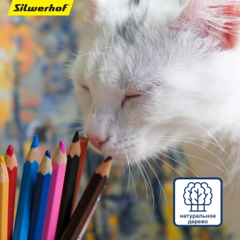 Карандаши цв. Silwerhof Jumbo Mini Веселые друзья 6мм шестигран. дерево ассорти 12цв. коробка/европод. - купить недорого с доставкой в интернет-магазине