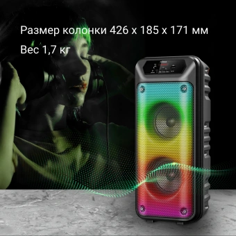 Минисистема Digma D-MC1705 черный 40Вт FM USB BT micro SD - купить недорого с доставкой в интернет-магазине