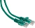 Патч-корд Premier PP12-1M/G 1000Гбит/с UTP 4 пары cat.5E CCA molded 1м зеленый RJ-45 (m)-RJ-45 (m)