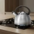 Чайник металлический Rondell Balance RDS-434 3л. стальной - купить недорого с доставкой в интернет-магазине