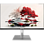 Монитор RDW Computers 27" RDW2707 черный IPS 5ms HDMI M/M HAS Piv 300cd 178гр/178гр 3840x2160 60Hz VGA DP UHD USB (RUS)