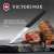Нож кухонный Victorinox Swiss Modern (6.9003.10) стальной универсальный для чистки овощей и фруктов лезв.100мм прямая заточка черный - купить недорого с доставкой в интернет-магазине