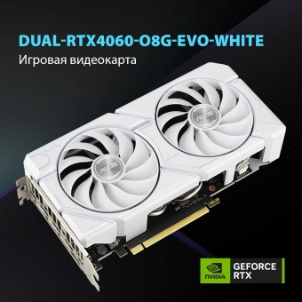 Видеокарта Asus PCI-E 4.0 DUAL-RTX4060-O8G-EVOWHITE NVIDIA GeForce RTX 4060 8Gb 128bit GDDR6 2505/17000 HDMIx1 DPx3 HDCP Ret - купить недорого с доставкой в интернет-магазине