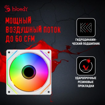 Вентилятор для корпуса Bloody BD-CF120ARGB5 LCD ARGB 120х120x25 белый 4-pin 26дБ (упак.:1шт) (BD-CF120ARGB5-WH) Ret - купить недорого с доставкой в интернет-магазине