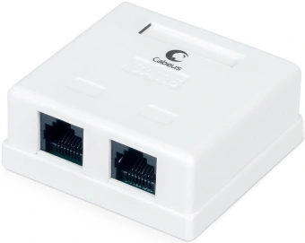Розетка Cabeus WS-8P8C-CAT.6-2 комп.RJ45 кат.6 черн. - купить недорого с доставкой в интернет-магазине