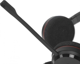 Наушники с микрофоном Jabra Evolve 20 черный накладные USB оголовье (4999-823-169) - купить недорого с доставкой в интернет-магазине