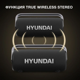 Колонка порт. Hyundai Select H-PS1029 черный 220W 2.1 BT 10м 4800mAh - купить недорого с доставкой в интернет-магазине