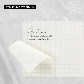 Блокнот Moleskine CAHIER JOURNAL QP317 Large 130х210мм обложка картон 80стр. клетка черный (3шт) - купить недорого с доставкой в интернет-магазине
