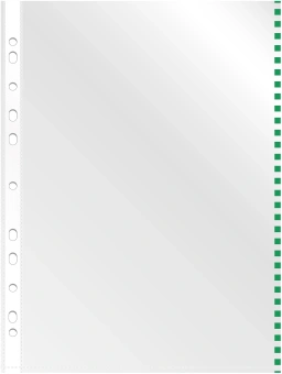 Папка-вкладыш Silwerhof Daily SD-EDGE/GRN глянцевые A4+ полипропилен 30мкм зеленый край (упак.:50шт) - купить недорого с доставкой в интернет-магазине