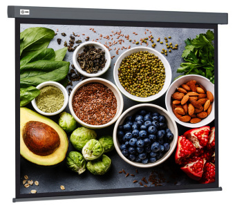 Экран Cactus 84" 150x150см Wallscreen CS-PSW-150X150-SG 1:1 настенно-потолочный рулонный серый - купить недорого с доставкой в интернет-магазине