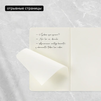 Блокнот Moleskine CAHIER JOURNAL QP313 Pocket 90x140мм обложка картон 64стр. нелинованный черный (3шт) - купить недорого с доставкой в интернет-магазине