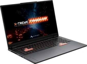 Ноутбук Maibenben X17F-R98956 Ryzen 9 8940HX 24Gb SSD1Tb NVIDIA GeForce RTX 5060 8Gb 17.3" IPS FHD (1920x1080) Windows 11 Home grey WiFi BT Cam 5200mAh (X17F-R989560R34HG4E10) - купить недорого с доставкой в интернет-магазине