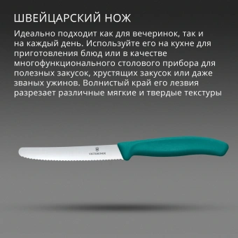 Нож кухонный Victorinox Swiss Classic (6.7834.C1) стальной столовый для томатов лезв.110мм серрейт. заточка зеленый - купить недорого с доставкой в интернет-магазине