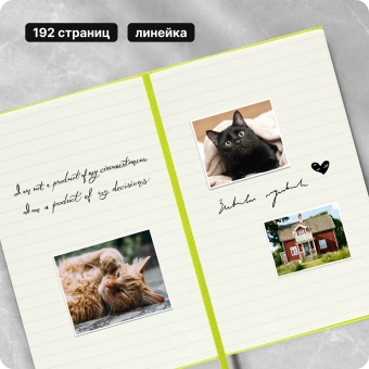 Блокнот Moleskine CLASSIC MM710C2 Pocket 90x140мм 192стр. линейка твердая обложка лайм - купить недорого с доставкой в интернет-магазине