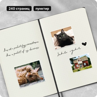 Блокнот Moleskine CLASSIC QP066 Large 130х210мм 240стр. пунктир твердая обложка черный - купить недорого с доставкой в интернет-магазине
