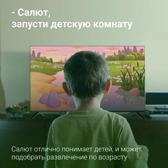 Телевизор LED Digma 50" DM-LED50UBB40 Салют ТВ Frameless Metal черный 4K Ultra HD 60Hz DVB-T DVB-T2 DVB-C DVB-S DVB-S2 USB WiFi Smart TV - купить недорого с доставкой в интернет-магазине