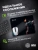 Коврик для мыши Cactus Night Cat 220x180x2мм (CS-MPC-P12XS) - цена, купить или заказать с доставкой в интернет-магазине Коврик для мыши Cactus Night Cat 220x180x2мм (CS-MPC-P12XS) - купить недорого с доставкой в интернет-магазине
