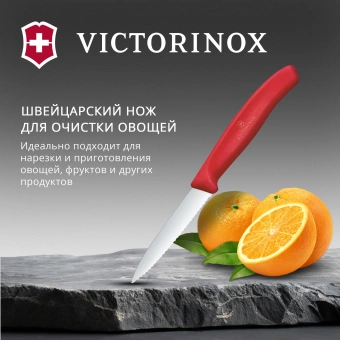 Нож кухонный Victorinox Swiss Classic 6.7631.С1 стальной универсальный для овощей лезв.80мм серрейт. заточка красный - купить недорого с доставкой в интернет-магазине