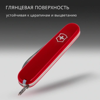 Нож перочинный Victorinox Bantam (0.2303) 84мм 8функц. красный карт.коробка - купить недорого с доставкой в интернет-магазине