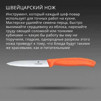 Нож кухонный Victorinox Swiss Classic (6.7709.C1) для овощей лезв.100мм прямая заточка оранжевый - купить недорого с доставкой в интернет-магазине