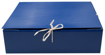 Папка архивная 4 завязки Silwerhof КБЗ-4-80Р бумвинил корешок 80мм разобранный A4 ассорти - купить недорого с доставкой в интернет-магазине