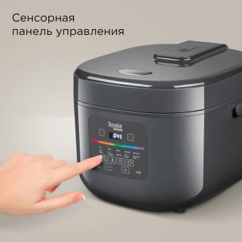 Мультиварка Redmond MC100S 5л 860Вт серый - купить недорого с доставкой в интернет-магазине