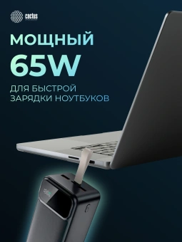 Мобильный аккумулятор Cactus CS-PBFSND-40000 40000mAh 65W 3A черный - купить недорого с доставкой в интернет-магазине
