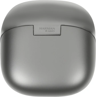 Гарнитура вкладыши Xiaomi Buds 5 M2341E1 серый беспроводные bluetooth в ушной раковине (BHR8116GL) - купить недорого с доставкой в интернет-магазине
