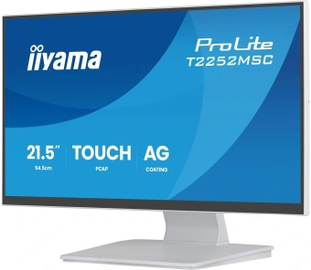 Монитор Iiyama 21.5" ProLite T2252MSC-W2AG белый IPS LED 5ms 16:9 HDMI M/M матовая 250cd 178гр/178гр 1920x1080 60Hz DP FHD USB Touch 4.5кг - купить недорого с доставкой в интернет-магазине