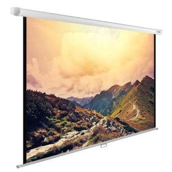 Экран Cactus 180x240см WallExpert CS-PSWE-240x180-WT 4:3 настенно-потолочный рулонный - купить недорого с доставкой в интернет-магазине