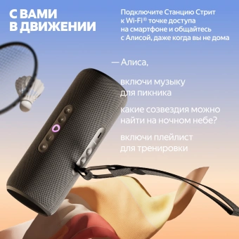 Умная колонка Yandex Стрит Алиса черный 30W 2.0 BT/Wi-Fi 10м 3300mAh (YNDX-00030BLK) - купить недорого с доставкой в интернет-магазине