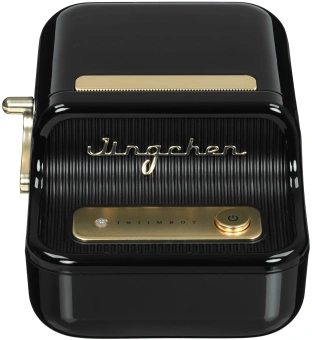 Термопринтер Niimbot B21S (1746727) 203dpi 60мм/с/USB/BT для печ.этик. черный - купить недорого с доставкой в интернет-магазине