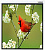 Экран Lumien 119" 220x220см Master Picture LMP-100129 1:1 настенно-потолочный рулонный