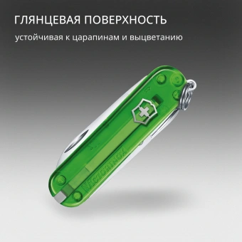 Нож перочинный Victorinox Classic SD Green Tea (0.6223.T41G) 58мм 7функц. подар.коробка - купить недорого с доставкой в интернет-магазине