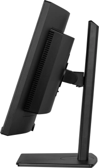 Монитор Iiyama 34" ProLite XCB3497WQSNPH-B1 черный VA LED 21:9 HDMI M/M Cam матовая HAS Piv 3000:1 350cd 178гр/178гр 3440x1440 120Hz FreeSync Premium DP UW USB 9.7кг - купить недорого с доставкой в интернет-магазине