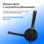 Наушники с микрофоном Оклик HS-M600 черный 1.8м накладные оголовье (1900372) - купить недорого с доставкой в интернет-магазине