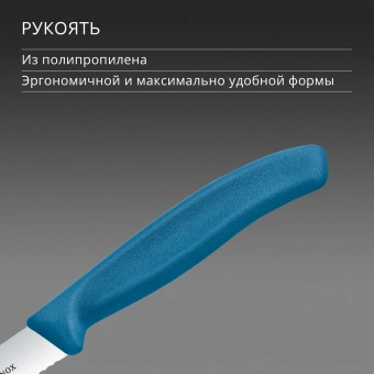 Нож кухонный Victorinox Swiss Classic (6.7732.C1) стальной универсальный для чистки овощей и фруктов лезв.100мм серрейт. заточка синий - купить недорого с доставкой в интернет-магазине