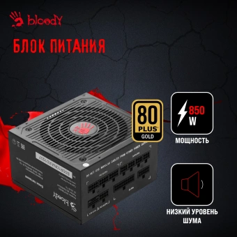 ПК Bloody BD-PC CZ79C3 MT i7 14700F (2.1) 64Gb SSD1Tb RTX5080 16Gb Windows 11 Home 64 GbitEth 850W черный (2086028) - купить недорого с доставкой в интернет-магазине