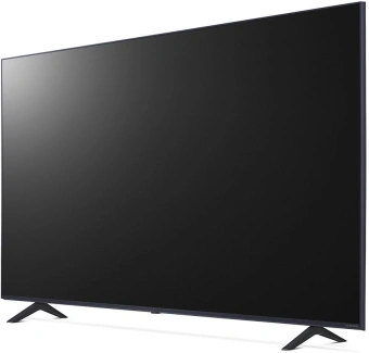 Телевизор LED LG 65" 65NANO80T6A.ARUG синяя сажа 4K Ultra HD 60Hz DVB-T DVB-T2 DVB-C DVB-S DVB-S2 USB WiFi Smart TV - купить недорого с доставкой в интернет-магазине