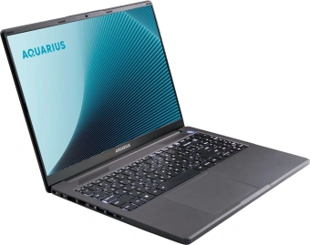 Ноутбук Aquarius Cmp NE356 Ryzen 5 6600H 8Gb SSD256Gb 16" без ОС WiFi BT Cam (NE356153318S125SCN2TNNNNN2) - купить недорого с доставкой в интернет-магазине
