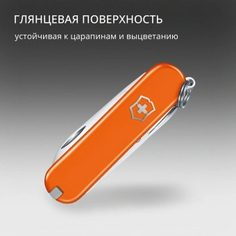 Нож перочинный Victorinox Classic SD Mango Tango (0.6223.83G) 58мм 7функц. подар.коробка - купить недорого с доставкой в интернет-магазине