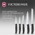 Набор ножей кухон. Victorinox Swiss Classic 6.7133.5G компл.:5предм. черный подар.коробка - цена, купить или заказать с доставкой в интернет-магазине Набор ножей кухон. Victorinox Swiss Classic 6.7133.5G компл.:5предм. черный подар.коробка - купить недорого с доставкой в интернет-магазине