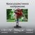 Монитор Digma 27" Progress 27P505Q черный IPS LED 16:9 HDMI M/M матовая HAS 350cd 178гр/178гр 2560x1440 75Hz G-Sync FreeSync DP 2K 6.05кг - купить недорого с доставкой в интернет-магазине