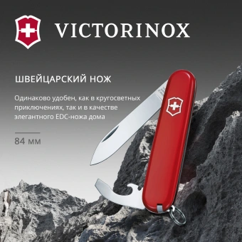 Нож перочинный Victorinox Bantam (0.2303) 84мм 8функц. красный карт.коробка - купить недорого с доставкой в интернет-магазине